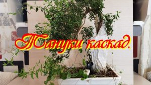 Тануки каскад