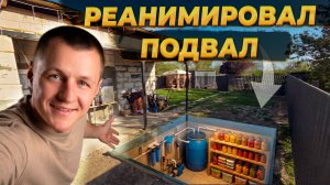 Восстановил Подвал в Старом Доме  😲 Новая Отделка Курятника Готова 🐓#ремонт #жизньвдеревне #diy