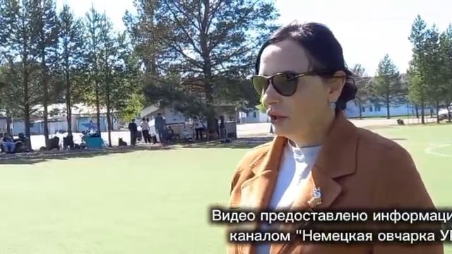 МОЛОДЫЕ СУКИ / КЧК СУРГУТ 30 мая`26 А.Кейвомяги Моно немецких овчарок