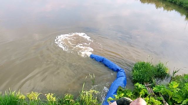 Зарыбление карпа в 9-й водоём РК