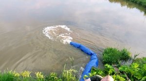 Зарыбление карпа в 9-й водоём РК«Фишка Петряиха»