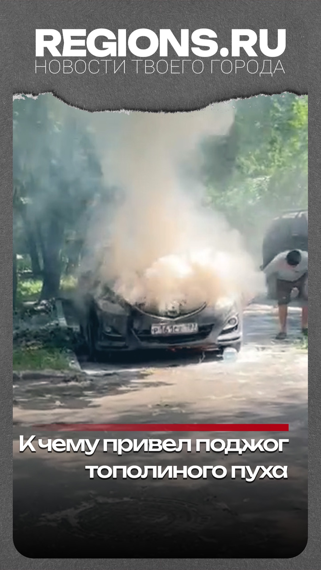 К чему привел поджог тополиного пуха