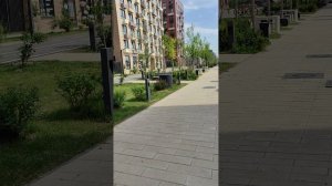 Прогулка с Беней. Обзор нового Ж. К.