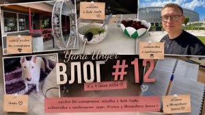 🎓 ВЛОГ #12 | Полдня без интернета, поездка к бабе Люде и подготовка к предзащите