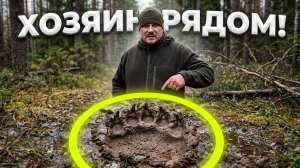 ТАЙГА ПРОСНУЛАСЬ! Нашли следы МЕДВЕДЯ возле избы...