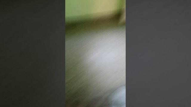 бесконечная лестница(почти) 4 серия