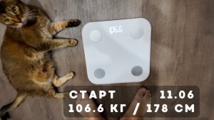 Взвешивание и форма: вот как я выгляжу сейчас