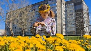 26.04.26 - Велопрогулка