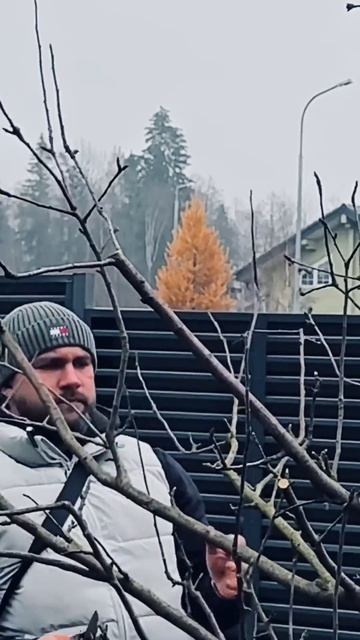 Эта обрезка подарит ведра яблок.
