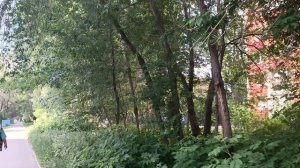 Опять новые анекдоты