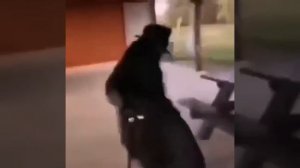 не че ни напоминает?🤣😂