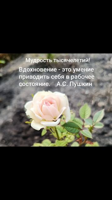Мудрость тысячелетий!✨Цитата: