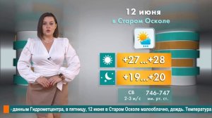 Погода в Старом Осколе на 12 июня