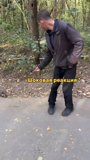 Теперь в завязке
