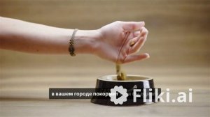Почему мы должны защищать животных?   Образовательно видео.