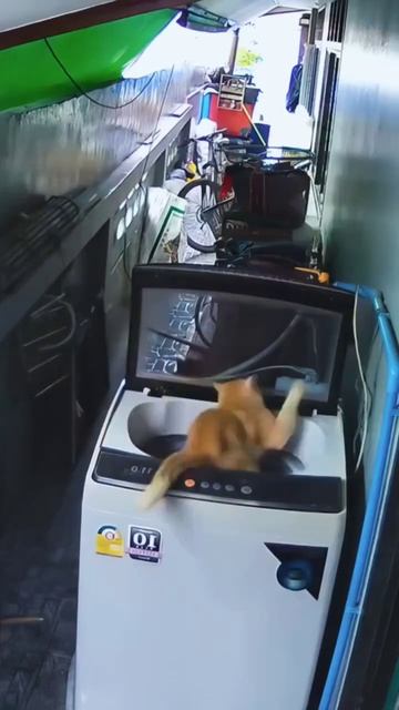Мы в домике