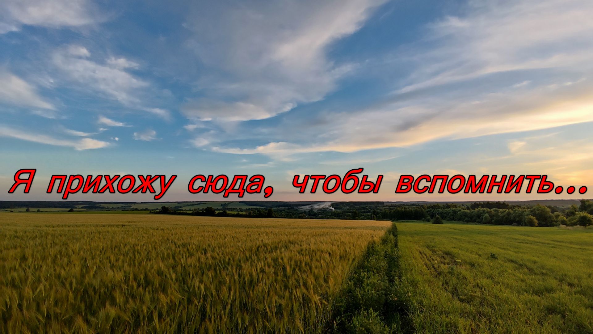 Поле. Русское поле.