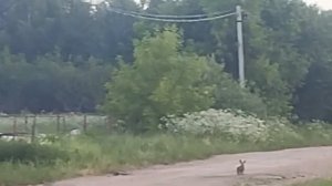 1000047746.mp4