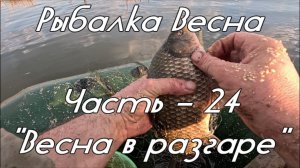 Рыбалка. Весна. Часть - 24. «Весна в разгаре».
