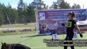 ЩЕНКИ СУКИ / КЧК СУРГУТ 30 мая`26 А.Кейвомяги Моно немецких овчарок