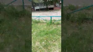 разговариваем со зрителями