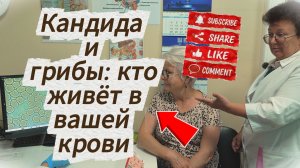 Как не допустить накопление белкового мусора?