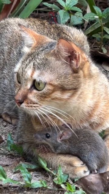 Берегите друг друга не смотря ни на что ребята  🥰🫶😼🫶😎