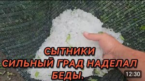 САМВЕЛ АДАМЯН, СЫТНИКИ, СИЛЬНЫЙ ГРАД НАДЕЛАЛ БЕДЫ..