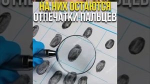 #Милые #видео #животные