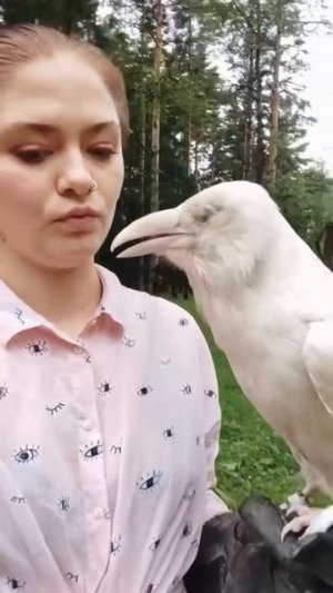 Белая Ворона!