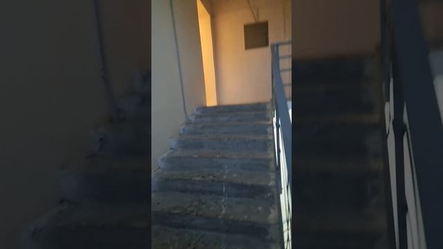 1000580577.mp4 смотреть онлайн