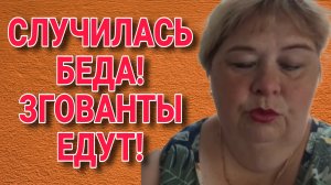 СЛУЧИЛАСЬ БЕДА! ЗИГОВАНТЫ ЕДУТ. ОЛЬГА УРАЛОЧКА LIVE. ОБЗОР.