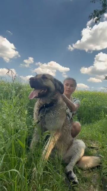 rutube.ru