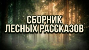 СБОРНИК ЛЕСНЫХ РАССКАЗОВ | 5часов