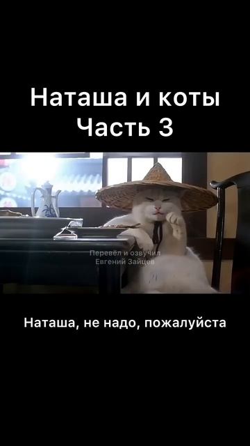 Наташа и коты часть 3