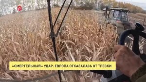 «Смертельный» удар: Европа отказалась от трески