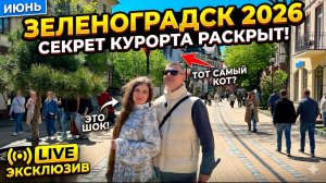 Зеленоградск 2026: Стоит ли ехать? Вся правда о ценах, еде и Балтийском море!