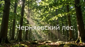 Пермь. Черняевский лес. Балатовский парк. Медитация.