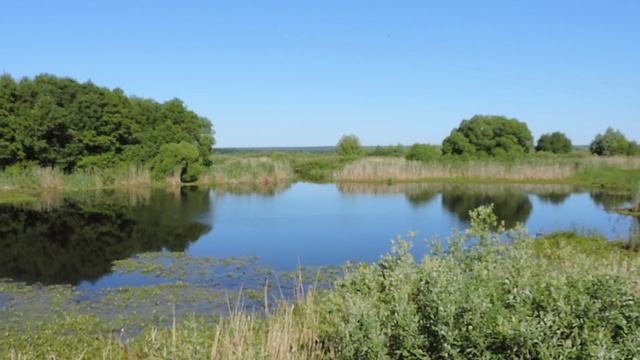 Утро на речке 0 смотреть онлайн