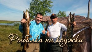 Рыбалка на кружки | Ловим щуку на озере | КРОКОДИЛ