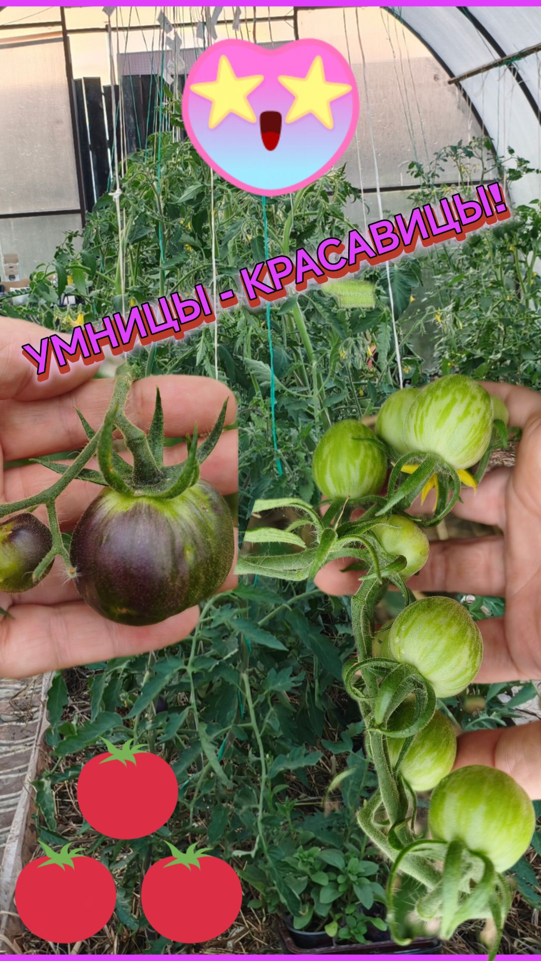Куда идём мы с Пятачком? 😘