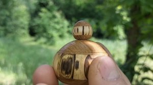 Шкатулка в июньском лесу на дубе среди сосен