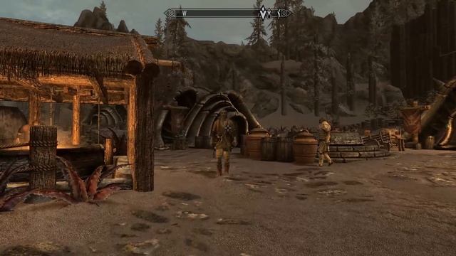 The Elder Scrolls V  Skyrim часть 109