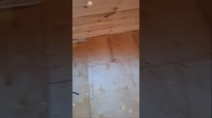1000061604.mp4 (Собака наблюдает за укладкой пола из листов фанеры на 2-ом этаже в доме А-фрейм)