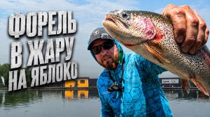 #59 ФОРЕЛЬ В ЖАРУ. РК ЯЗЬ. ЛОВЛЯ ФОРЕЛИ ВПРИГЛЯДКУ.