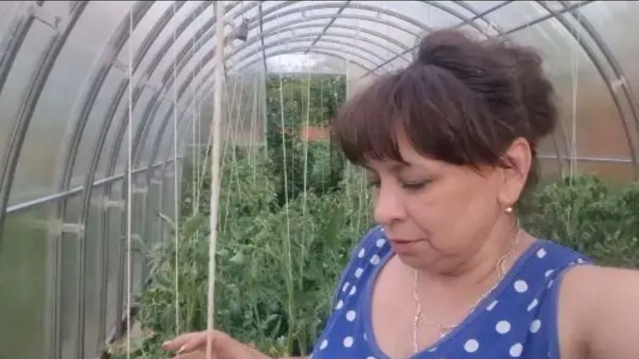 Обзор сада. Проверка прививок. Про ежевику. Обрабатываю виноград и помидоры. смотреть онлайн