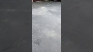 1000001851.mp4
