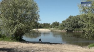 О правилах безопасности на водных объектах 2026