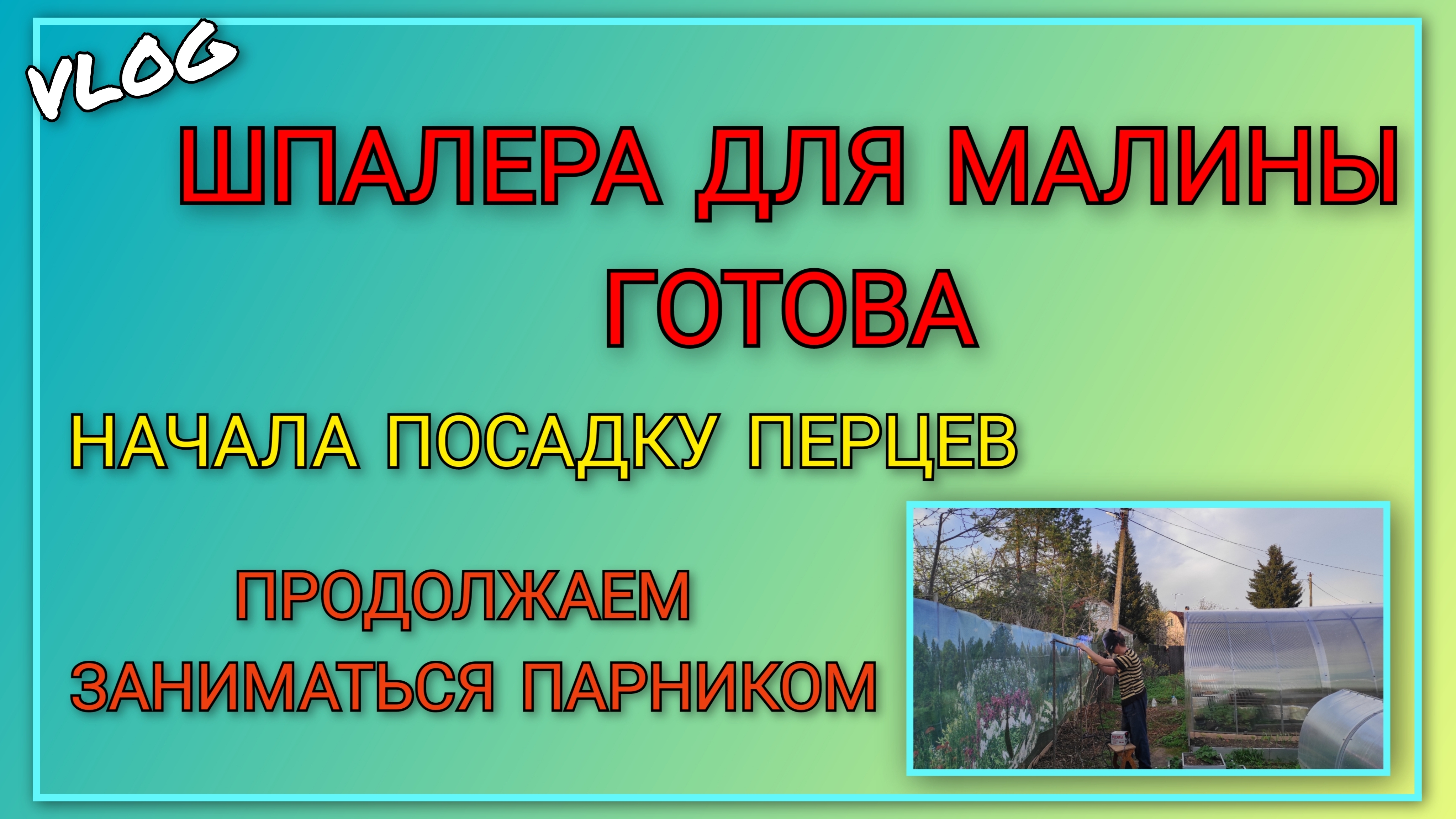 🍒Шпалера для малины готова/ Остались с Алёной на даче/ Начала посадку перцев/ Продолжаем заниматься