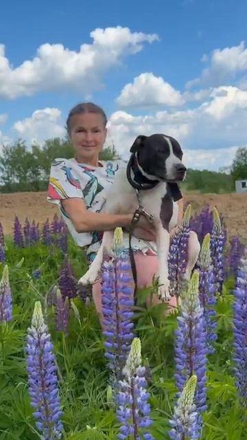 rutube.ru